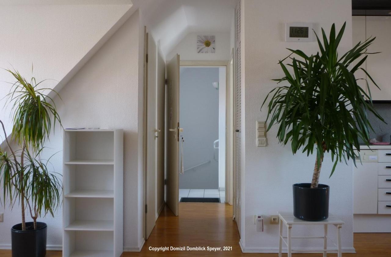 Domizil Domblick Speyer City, Garage, 50M2 Экстерьер фото