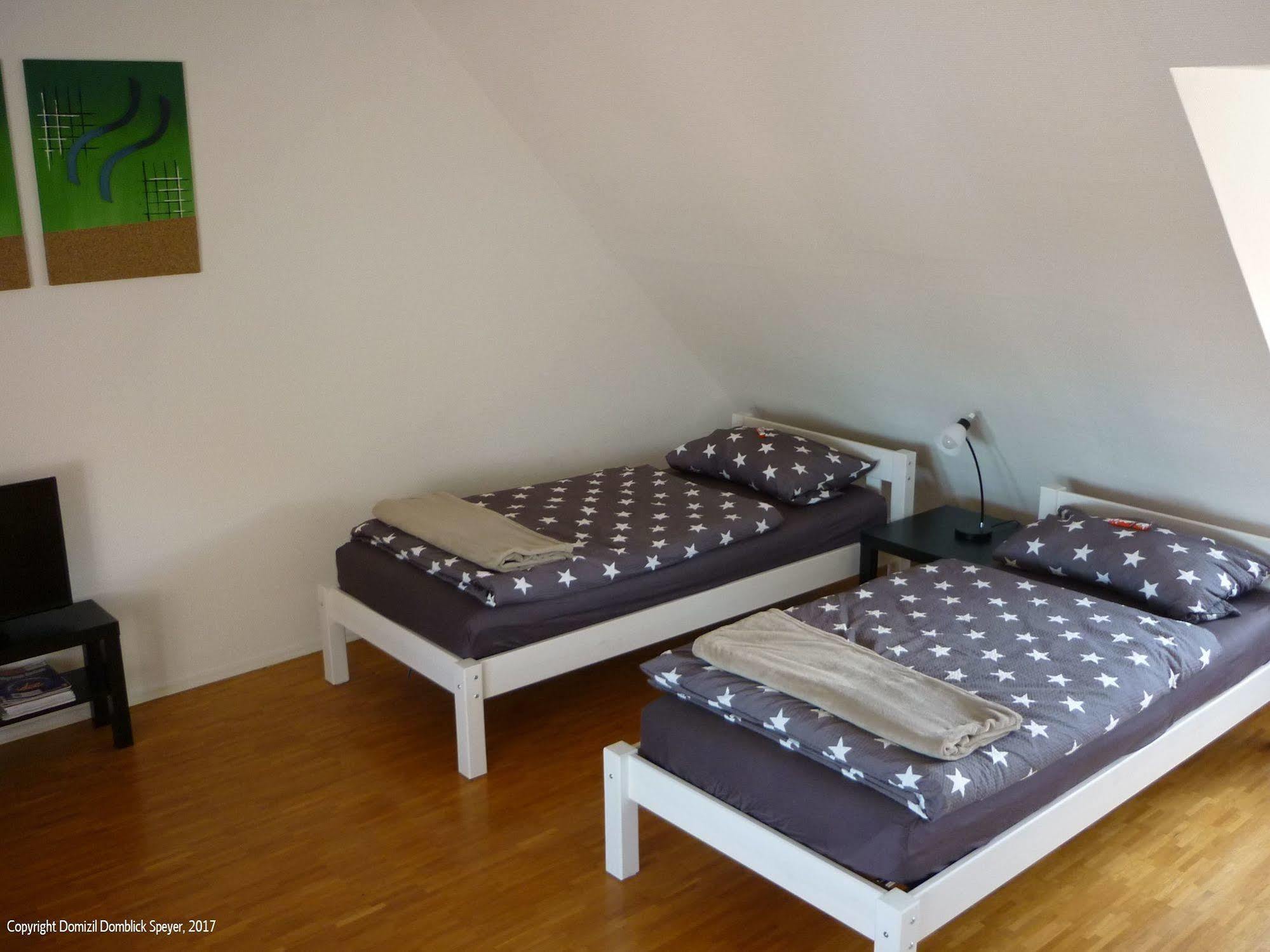 Domizil Domblick Speyer City, Garage, 50M2 Экстерьер фото
